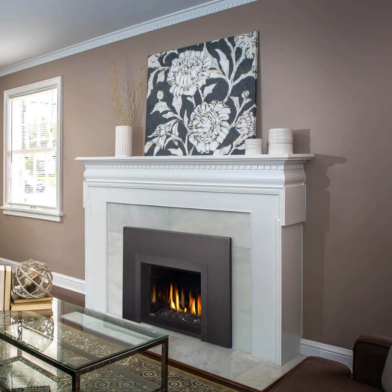 Napoleon Oakville Glass Gas Insert imagejpg | Fireside Hearth and Leisure of Petoskey Napoleon Oakville Glass Gas Insert imagejpg