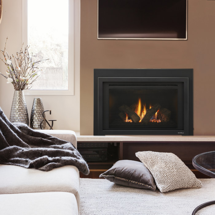 Provident Photo Firescreen black Metal interior C High resjpg | Fireside Hearth and Leisure of Petoskey Provident Photo Firescreen black Metal interior C High resjpg