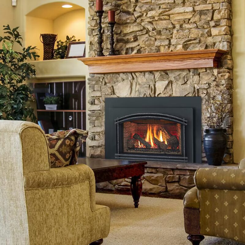 Trilliant Series Gas Insert image jpg | Fireside Hearth and Leisure of Petoskey Trilliant Series Gas Insert image jpg