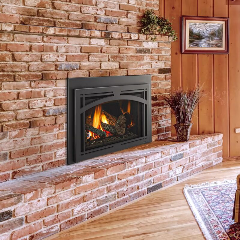 Trilliant Series Gas Insert image jpg | Fireside Hearth and Leisure of Petoskey Trilliant Series Gas Insert image jpg